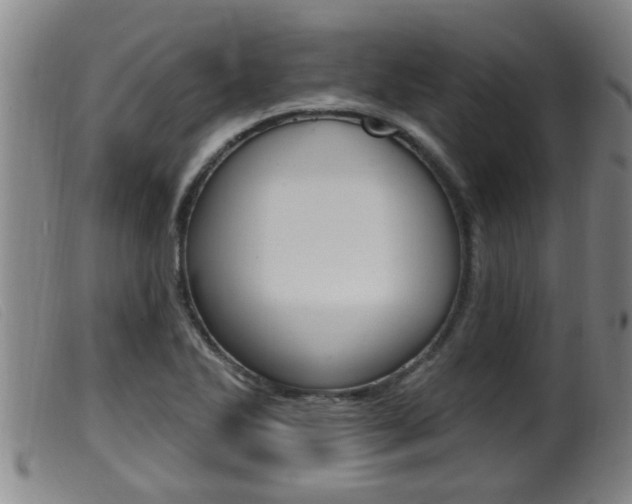 X0000099951270200805230953