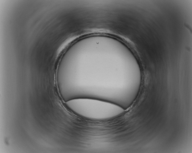 X0000099951271200805230953