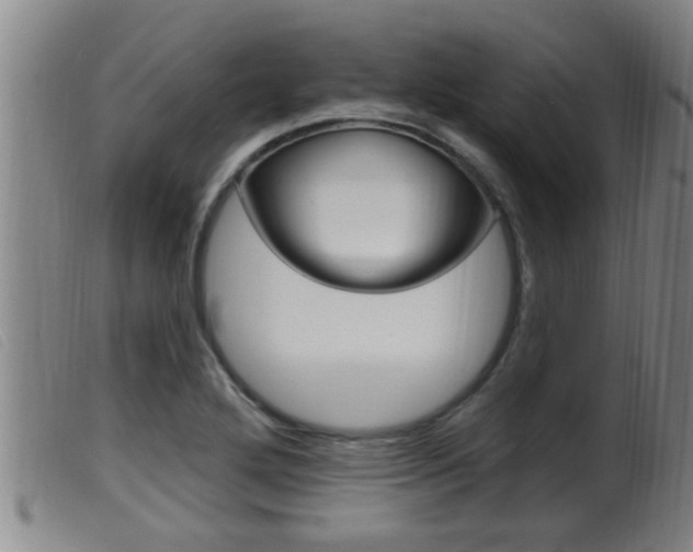 X0000099951272200805230953