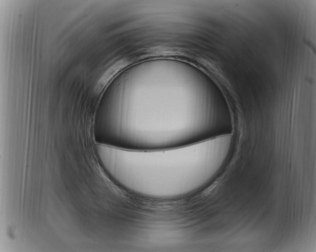 X0000099951273200805230953