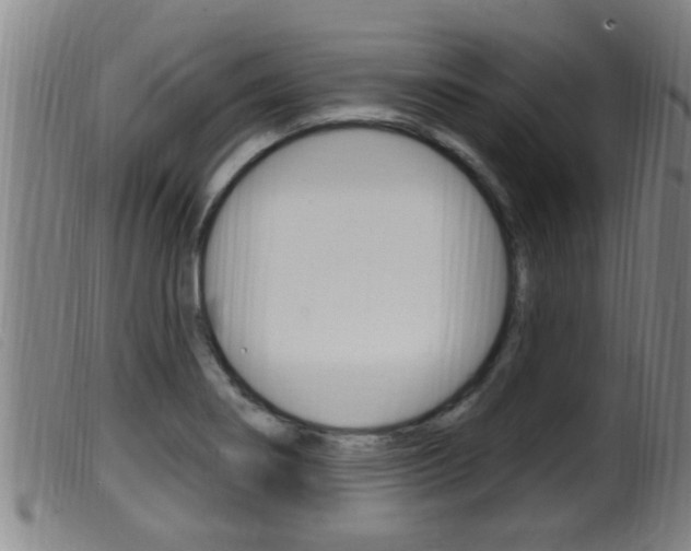 X0000099951274200805230953
