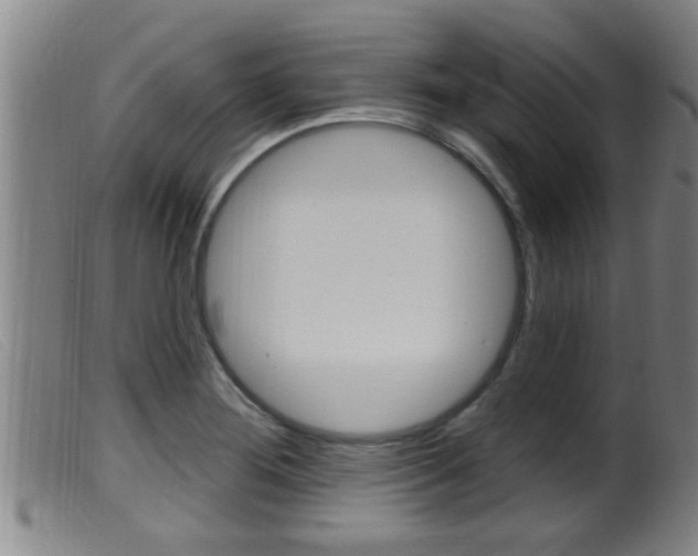 X0000099951276200805230953
