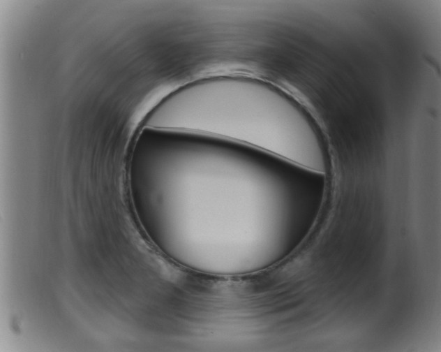 X0000099951277200805230953