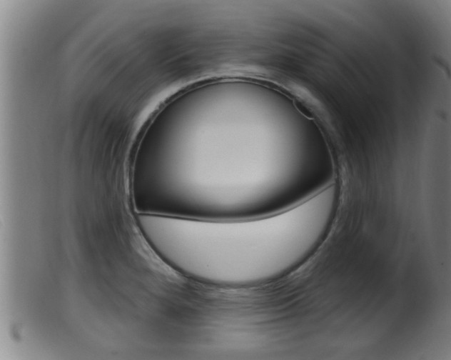 X0000099951280200805230953