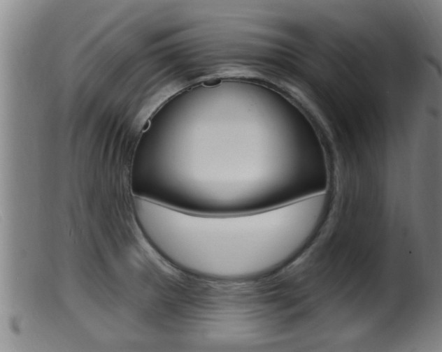 X0000099951281200805230953