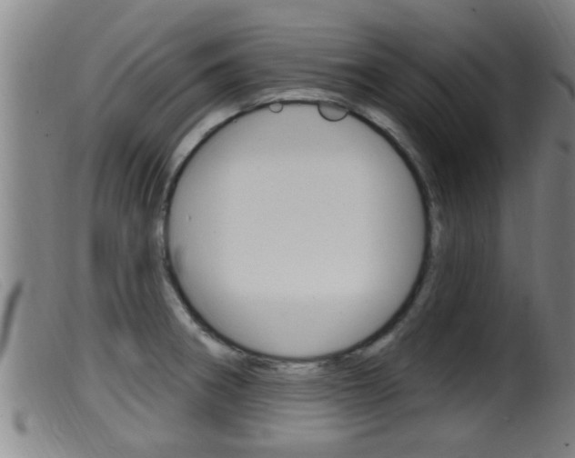 X0000099951282200805230953