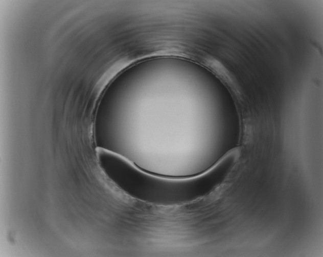 X0000099951284200805230952