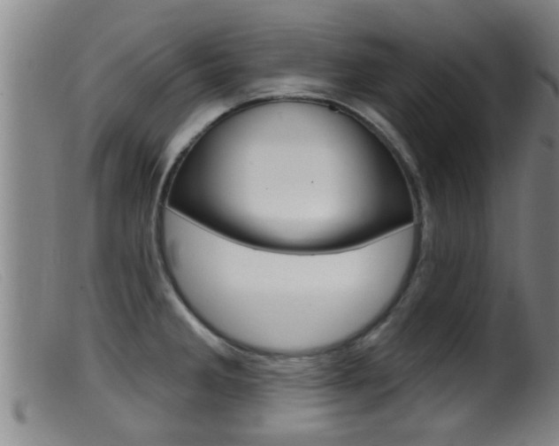 X0000099951285200805230952