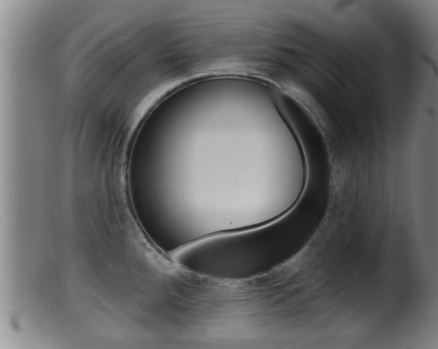 X0000099951288200805230952