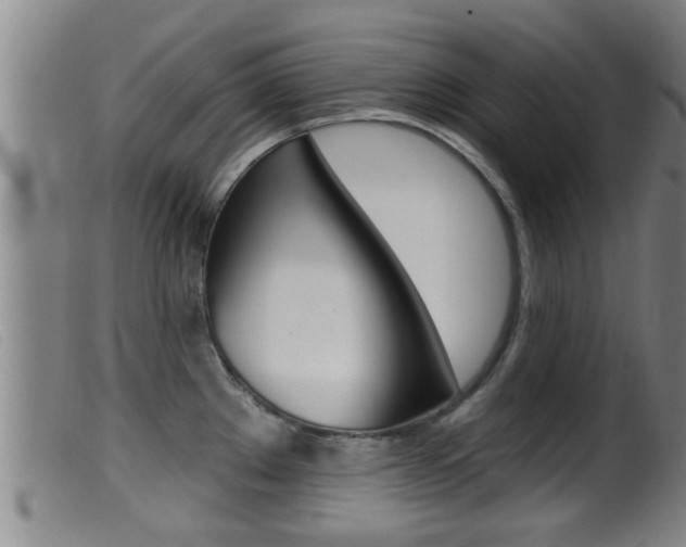 X0000099951289200805230952