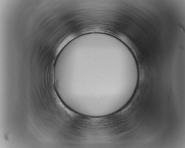 X0000099951290200805230952