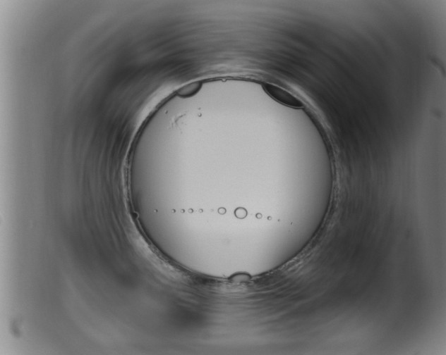X0000099951291200805230952