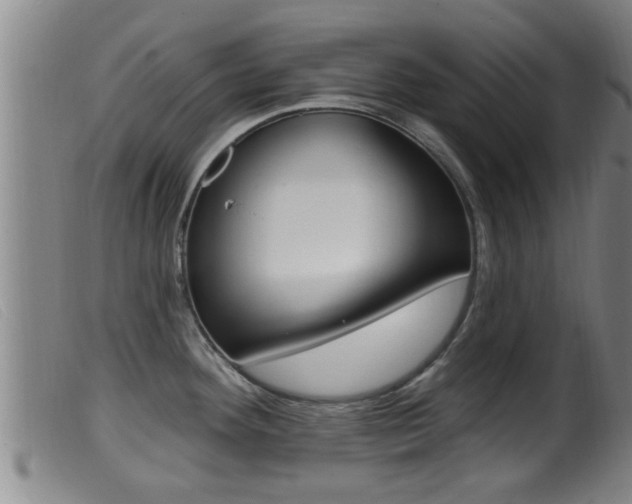 X0000099951292200805230952