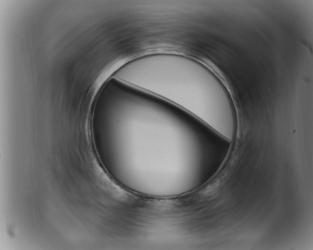 X0000099951293200805230952