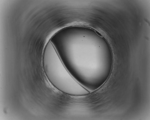 X0000099951296200805230952