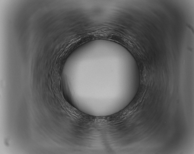 X0000099951297200805230952