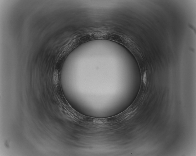 X0000099951299200805230952