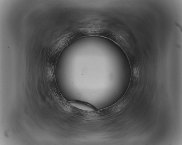 X0000099951300200805230952