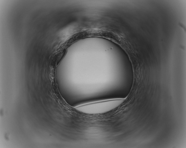 X0000099951301200805230952
