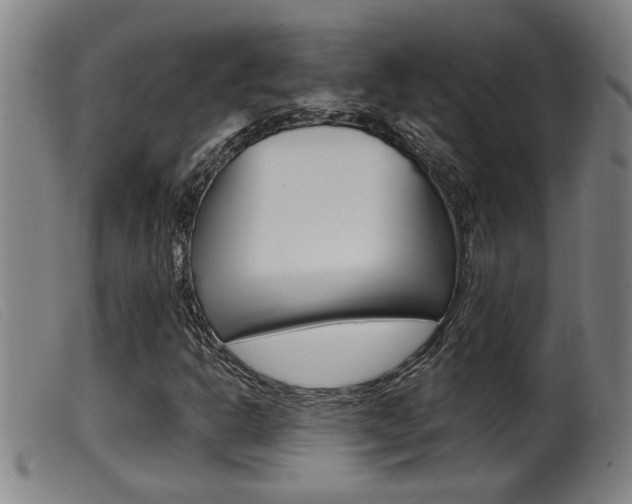 X0000099951302200805230952