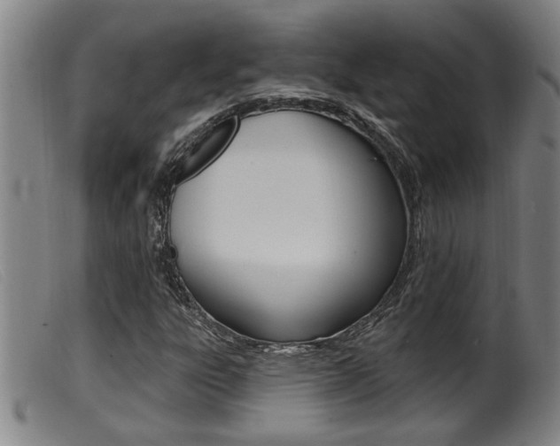 X0000099951303200805230952