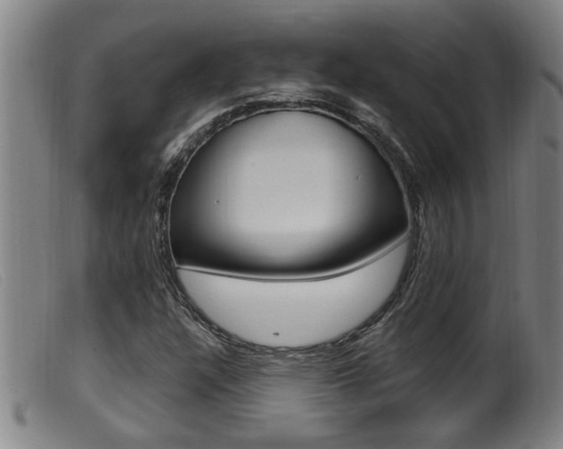 X0000099951304200805230952
