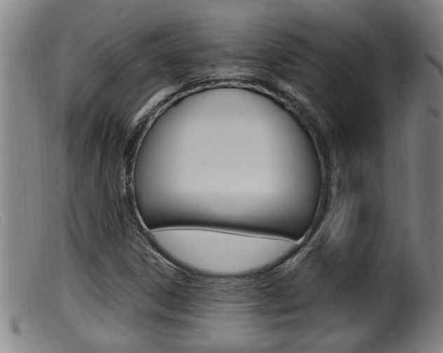 X0000099951306200805230952