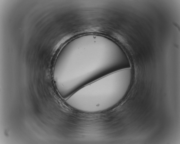 X0000099951308200805230952