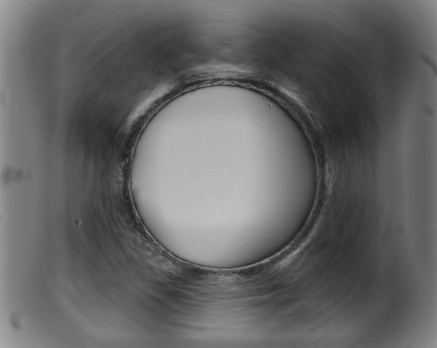 X0000099951309200805230952