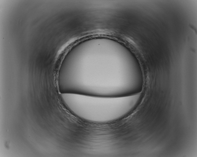 X0000099951310200805230952