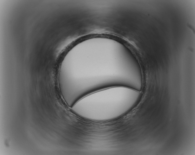 X0000099951311200805230952