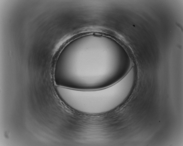 X0000099951312200805230952