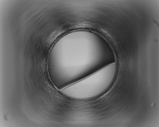 X0000099951313200805230952