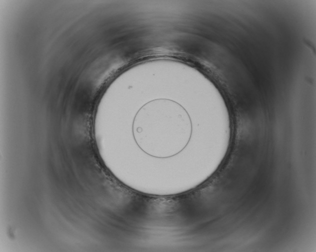 X0000099951314200805230952