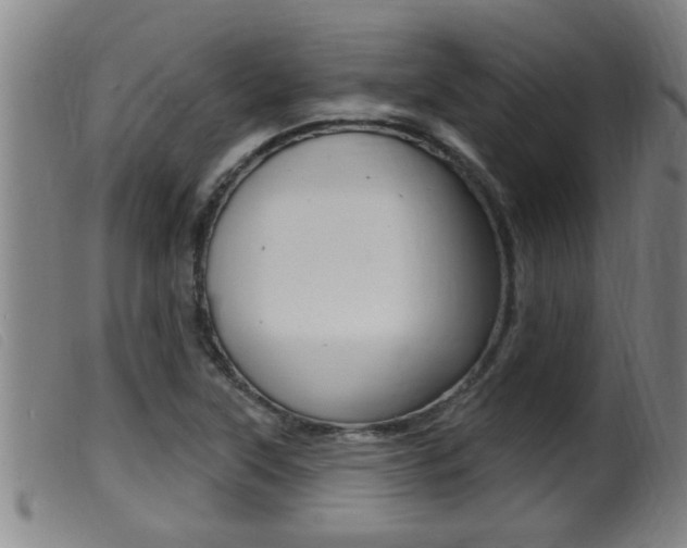 X0000099951315200805230952
