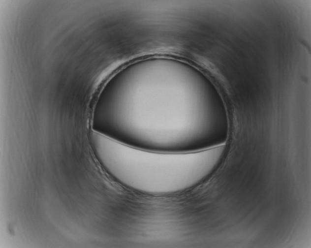 X0000099951316200805230952
