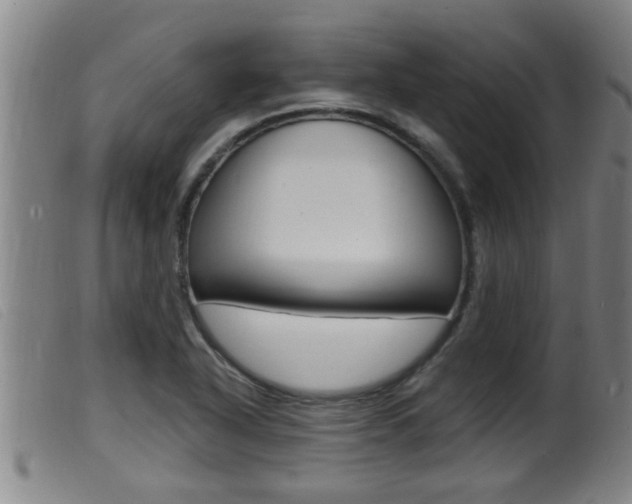 X0000099951318200805230952