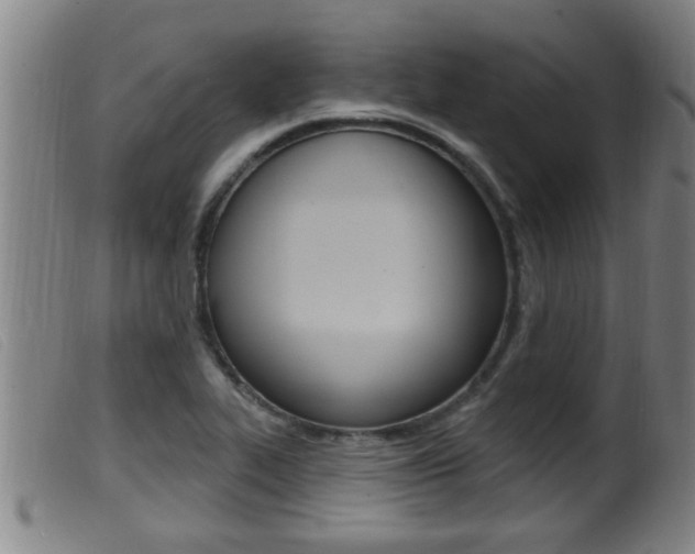 X0000099951319200805230952