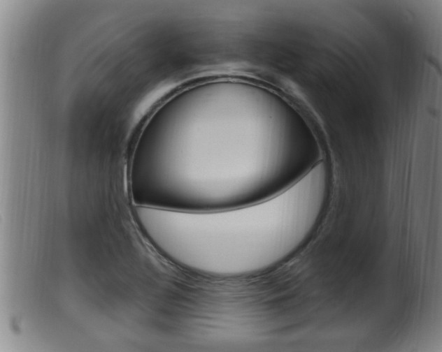 X0000099951320200805230952