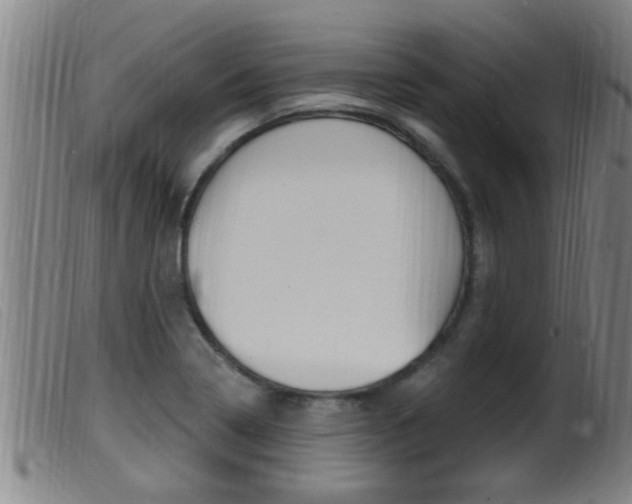 X0000099951322200805230952