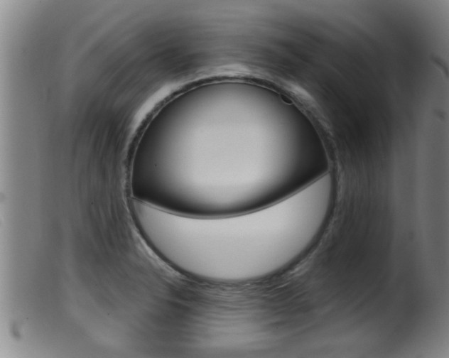 X0000099951326200805230952