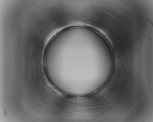 X0000099951327200805230952