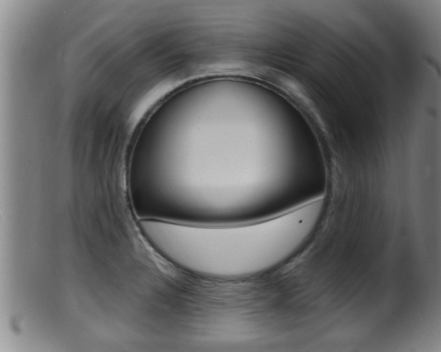 X0000099951328200805230952
