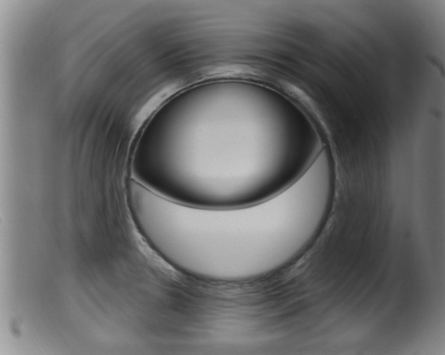 X0000099951330200805230952