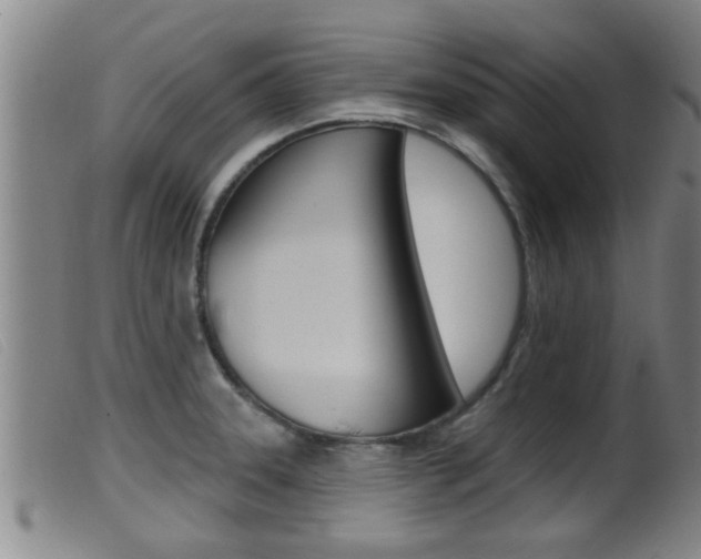 X0000099951331200805230952