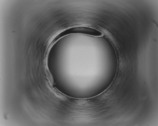 X0000099951332200805230952