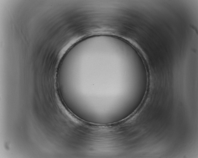 X0000099951333200805230952