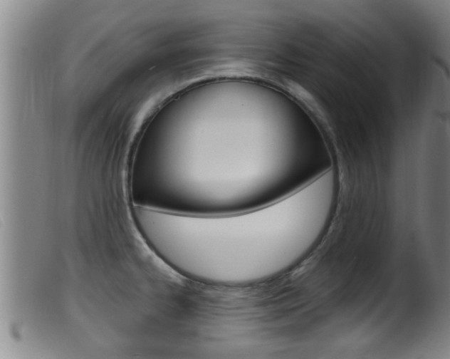 X0000099951334200805230952