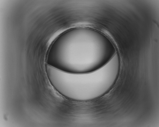 X0000099951336200805230952