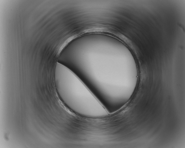 X0000099951337200805230952